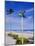 Palm Beach, Florida, USA. Signpost-Fraser Hall-Mounted Photographic Print