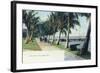 Palm Beach, Florida - View of the Lake Front-Lantern Press-Framed Art Print