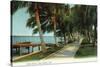 Palm Beach, Florida - View of the Lake Front-Lantern Press-Stretched Canvas