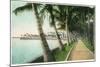 Palm Beach, Florida - View of the Walk Along Lake Worth-Lantern Press-Mounted Art Print