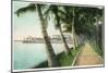 Palm Beach, Florida - View of the Walk Along Lake Worth-Lantern Press-Mounted Art Print