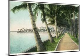 Palm Beach, Florida - View of the Walk Along Lake Worth-Lantern Press-Mounted Art Print