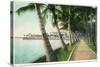 Palm Beach, Florida - View of the Walk Along Lake Worth-Lantern Press-Stretched Canvas