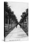 Palm Beach, Florida - Walking Down Ocean Avenue-Lantern Press-Stretched Canvas