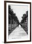 Palm Beach, Florida - Walking Down Ocean Avenue-Lantern Press-Framed Art Print