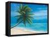 Palm Beach I-Vivien Rhyan-Framed Stretched Canvas