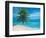 Palm Beach I-Vivien Rhyan-Framed Art Print