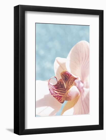 Palm Beach II-Brian Leighton-Framed Art Print