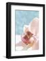 Palm Beach II-Brian Leighton-Framed Art Print