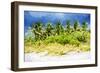 Palm Beach - In the Style of Oil Painting-Philippe Hugonnard-Framed Giclee Print