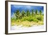Palm Beach - In the Style of Oil Painting-Philippe Hugonnard-Framed Giclee Print