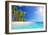 Palm Beach in Tropical Idyllic Paradise Island - Caribbean - Guadalupe-Romolo Tavani-Framed Photographic Print