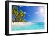 Palm Beach in Tropical Idyllic Paradise Island - Caribbean - Guadalupe-Romolo Tavani-Framed Photographic Print