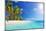 Palm Beach in Tropical Idyllic Paradise Island - Caribbean - Guadalupe-Romolo Tavani-Mounted Photographic Print