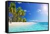 Palm Beach in Tropical Idyllic Paradise Island - Caribbean - Guadalupe-Romolo Tavani-Framed Stretched Canvas