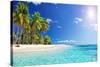 Palm Beach in Tropical Idyllic Paradise Island - Caribbean - Guadalupe-Romolo Tavani-Stretched Canvas