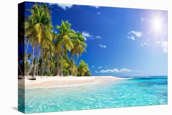 Palm Beach in Tropical Idyllic Paradise Island - Caribbean - Guadalupe-Romolo Tavani-Stretched Canvas