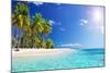 Palm Beach in Tropical Idyllic Paradise Island - Caribbean - Guadalupe-Romolo Tavani-Mounted Photographic Print
