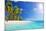 Palm Beach in Tropical Idyllic Paradise Island - Caribbean - Guadalupe-Romolo Tavani-Mounted Photographic Print