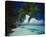 Palm beach, Maldives-null-Stretched Canvas