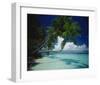 Palm beach, Maldives-null-Framed Art Print