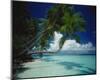 Palm beach, Maldives-null-Mounted Art Print