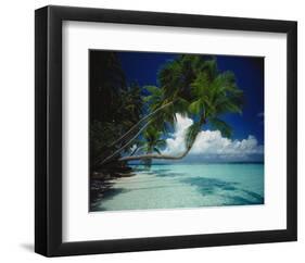 Palm beach, Maldives-null-Framed Art Print
