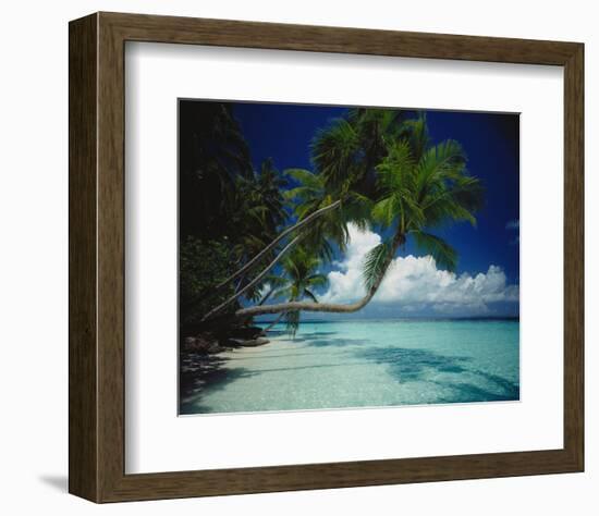 Palm beach, Maldives-null-Framed Art Print