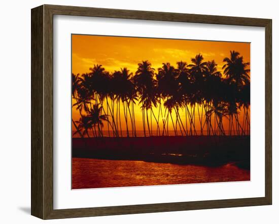 Palm Beach, Sundown, Back Light-Thonig-Framed Photographic Print