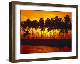 Palm Beach, Sundown, Back Light-Thonig-Framed Photographic Print