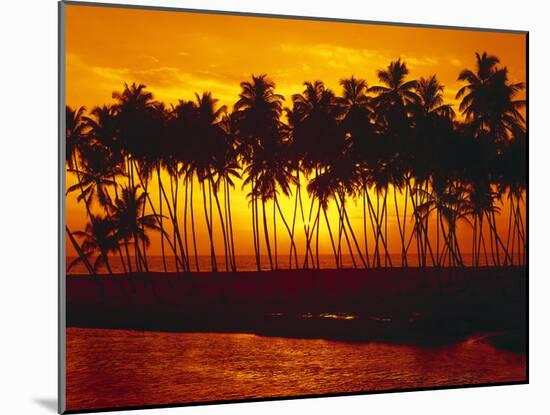 Palm Beach, Sundown, Back Light-Thonig-Mounted Photographic Print