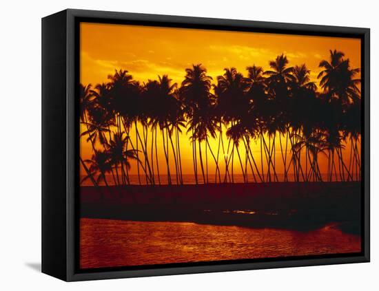 Palm Beach, Sundown, Back Light-Thonig-Framed Stretched Canvas