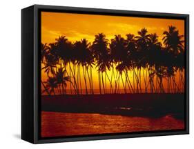 Palm Beach, Sundown, Back Light-Thonig-Framed Stretched Canvas