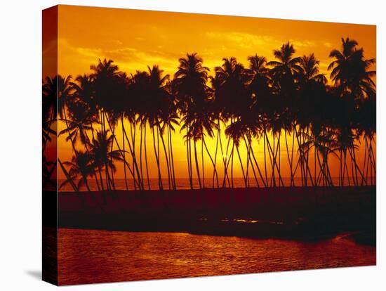 Palm Beach, Sundown, Back Light-Thonig-Stretched Canvas