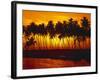 Palm Beach, Sundown, Back Light-Thonig-Framed Photographic Print