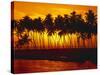 Palm Beach, Sundown, Back Light-Thonig-Stretched Canvas