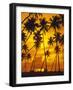 Palm Beach, Sundown, Back Light-Thonig-Framed Photographic Print