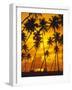 Palm Beach, Sundown, Back Light-Thonig-Framed Photographic Print