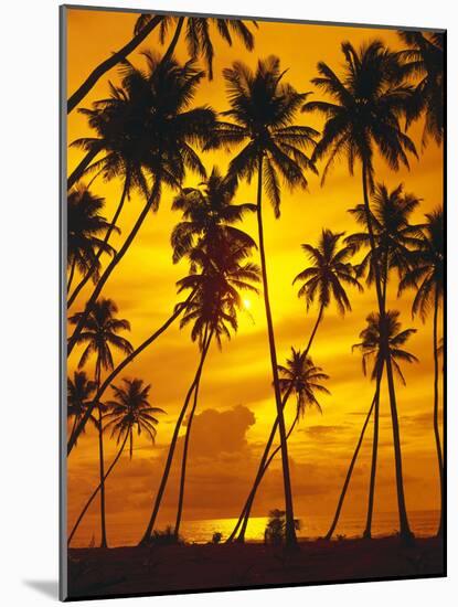 Palm Beach, Sundown, Back Light-Thonig-Mounted Photographic Print