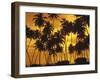 Palm Beach, Sundown-Thonig-Framed Photographic Print