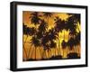 Palm Beach, Sundown-Thonig-Framed Photographic Print