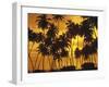 Palm Beach, Sundown-Thonig-Framed Photographic Print