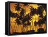 Palm Beach, Sundown-Thonig-Framed Stretched Canvas