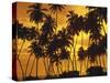 Palm Beach, Sundown-Thonig-Stretched Canvas