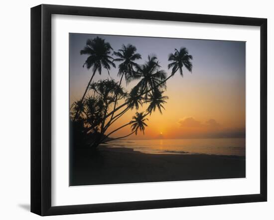 Palm Beach, Sunset-Thonig-Framed Premium Photographic Print