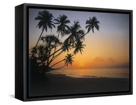 Palm Beach, Sunset-Thonig-Framed Stretched Canvas