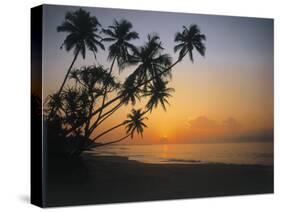 Palm Beach, Sunset-Thonig-Stretched Canvas