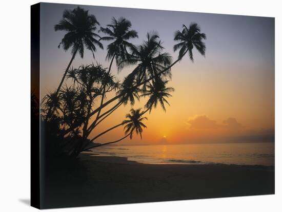 Palm Beach, Sunset-Thonig-Stretched Canvas