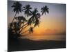 Palm Beach, Sunset-Thonig-Mounted Photographic Print