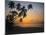 Palm Beach, Sunset-Thonig-Mounted Photographic Print